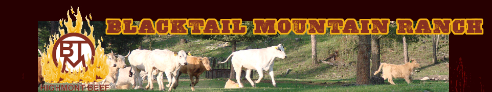 Blacktail Mountain Ranch Co.